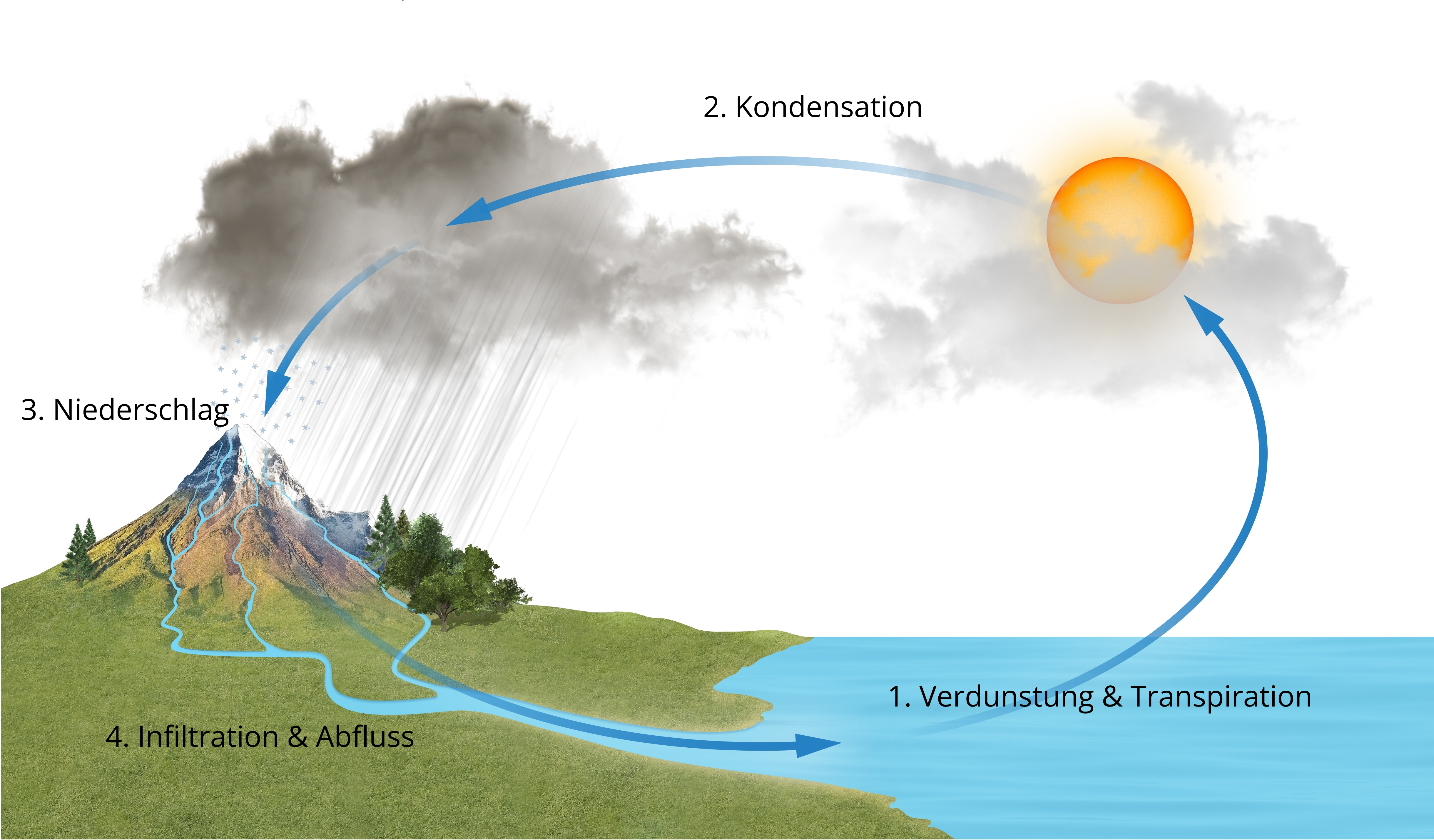 Wasserkreislauf mit seinen vier Phasen