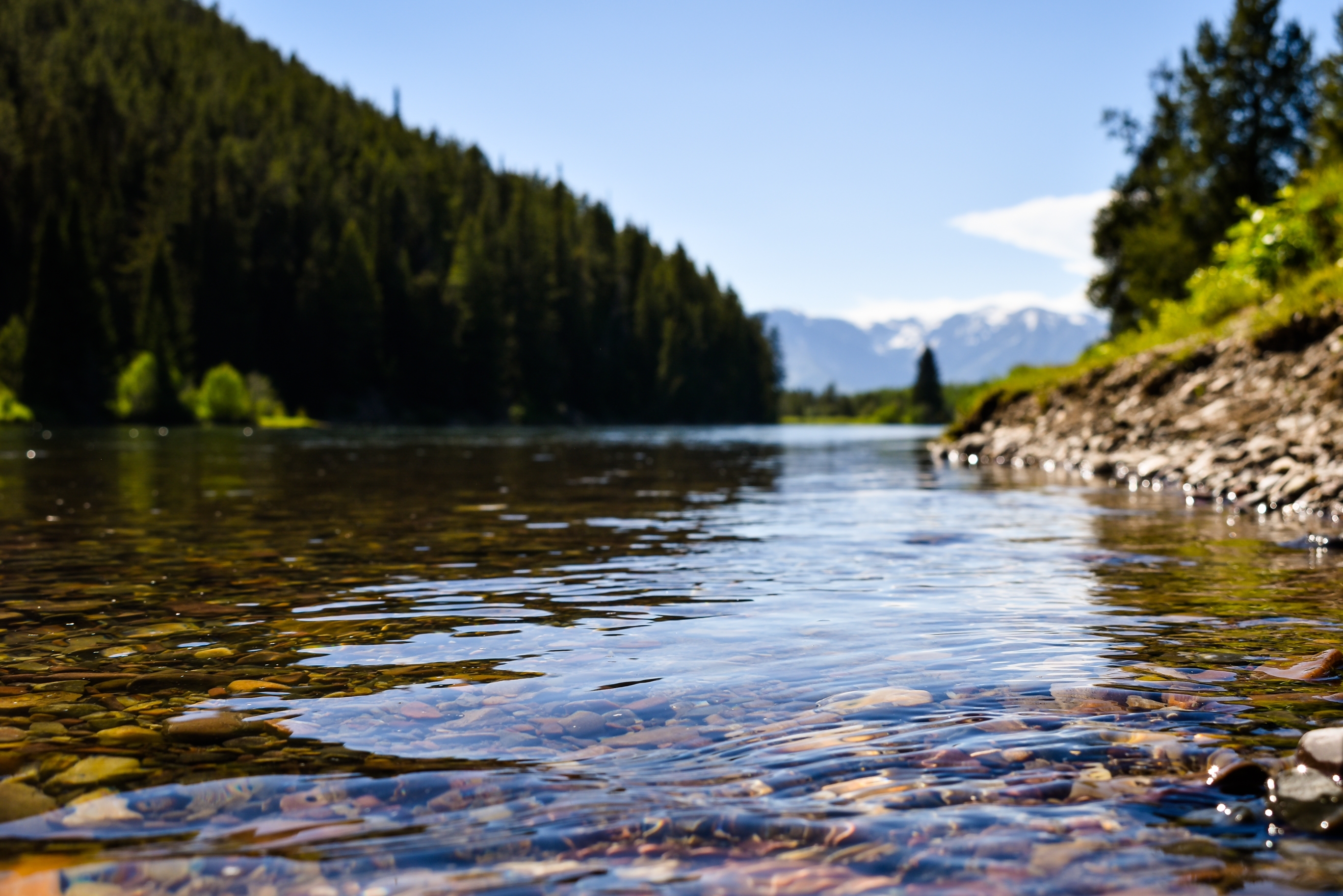 Foto von einem Flussbett