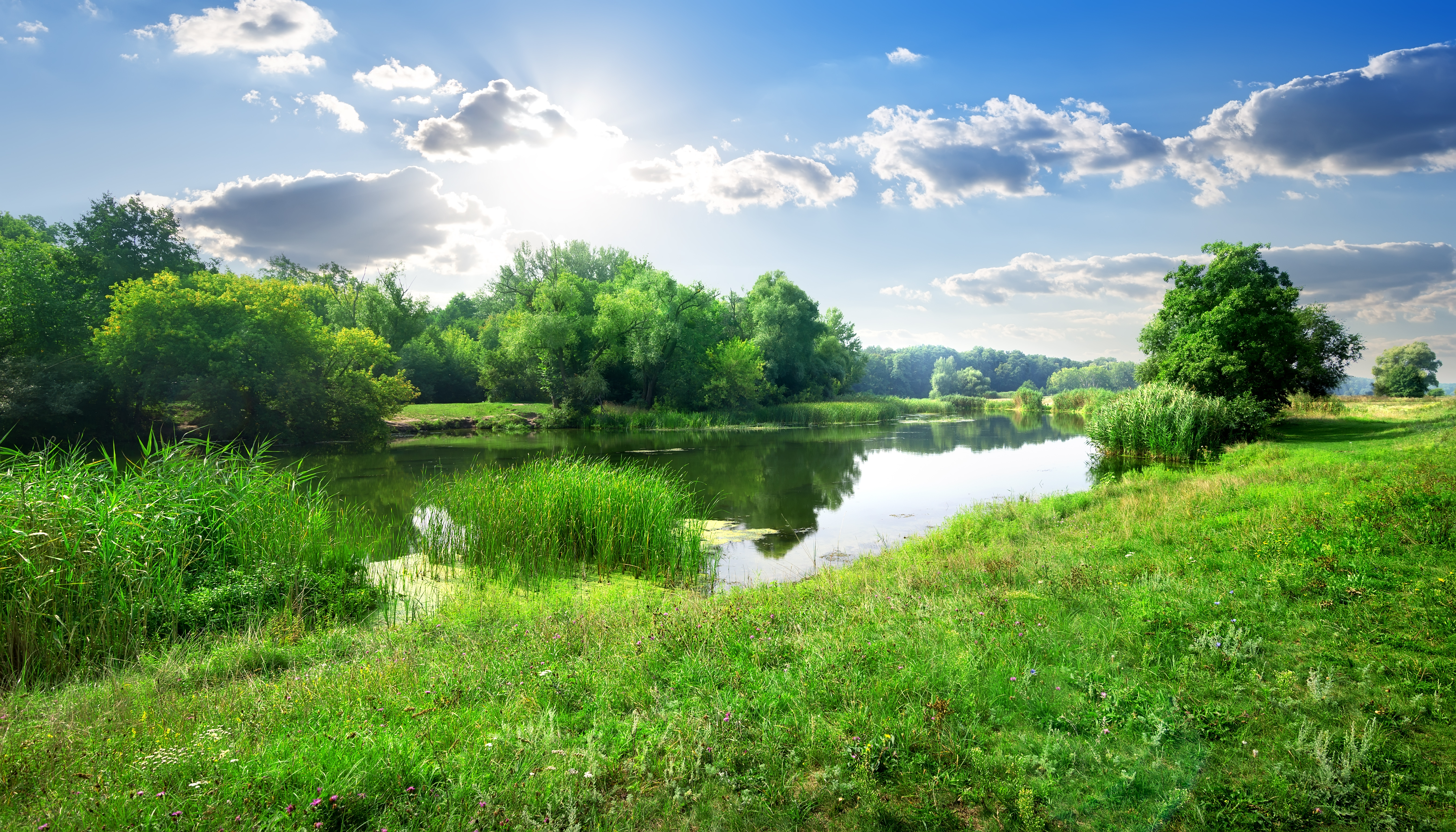 Fluss mit natürlichem Uferbereich Fluss mit natürlichem Uferbereich