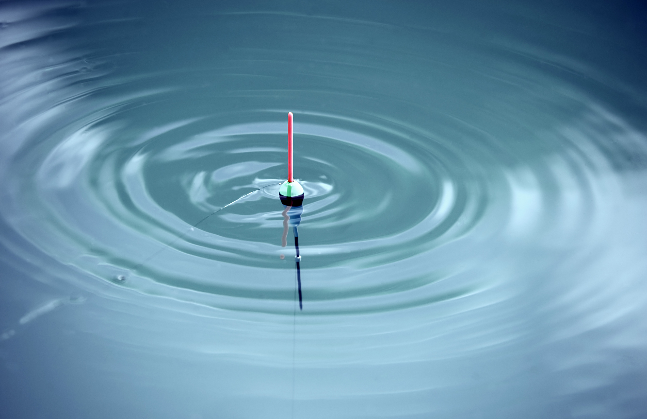 Schwimmende Bissanzeiger