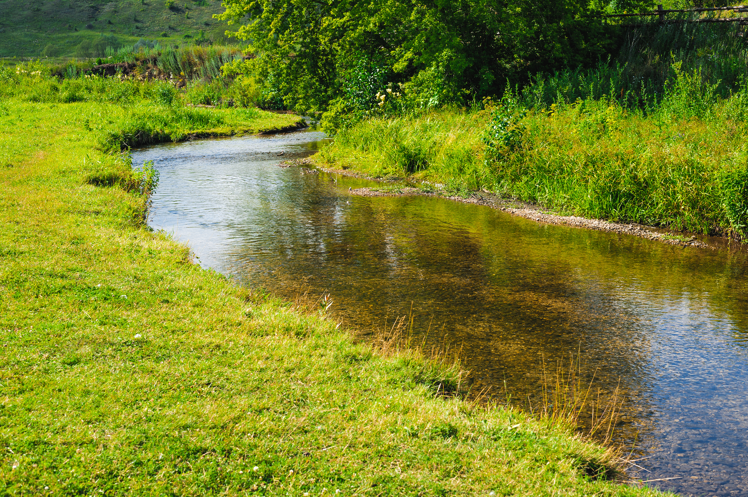 Aue mit breitem Ufer 