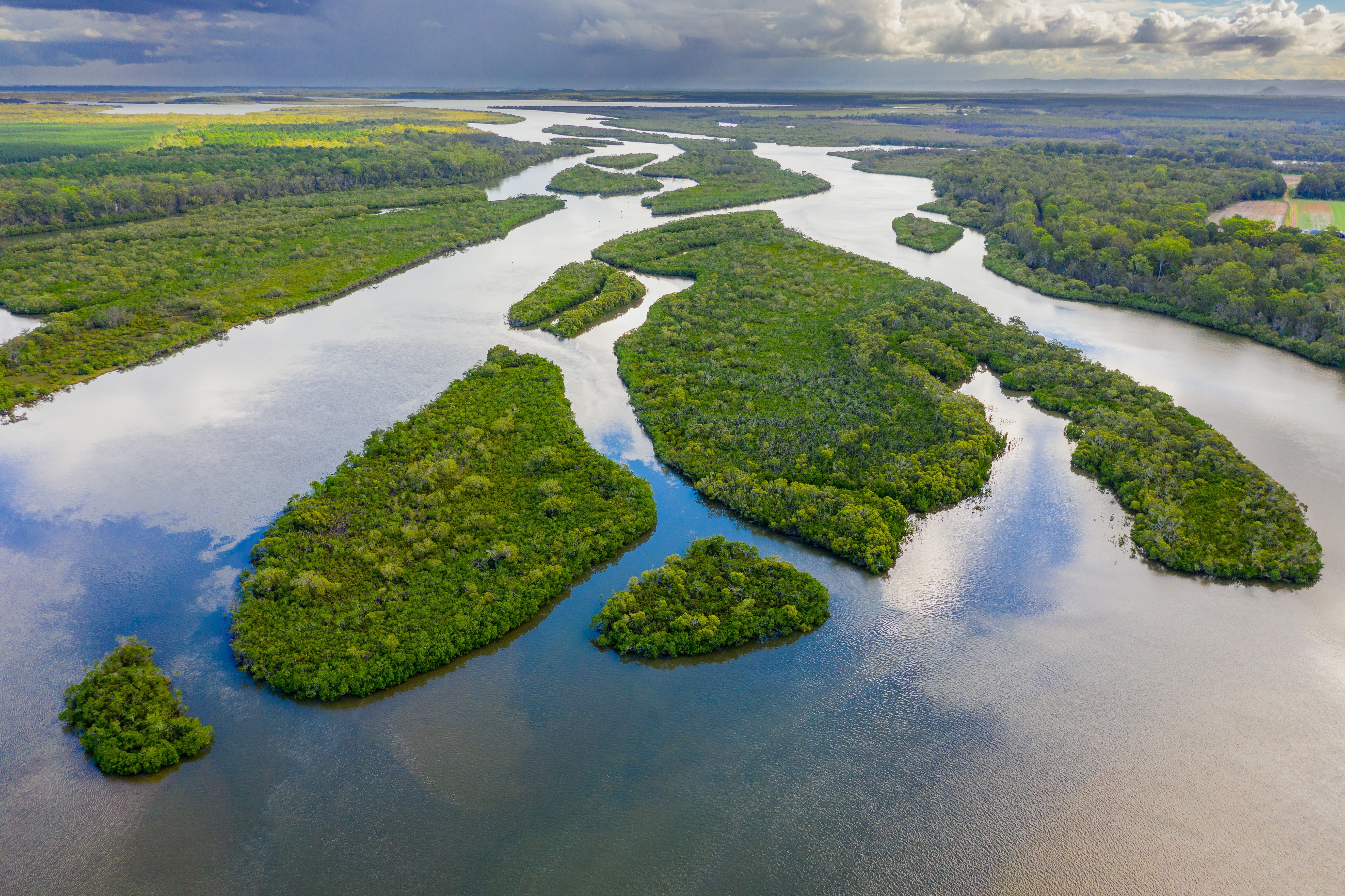 Luftbild von einem Flussdelta